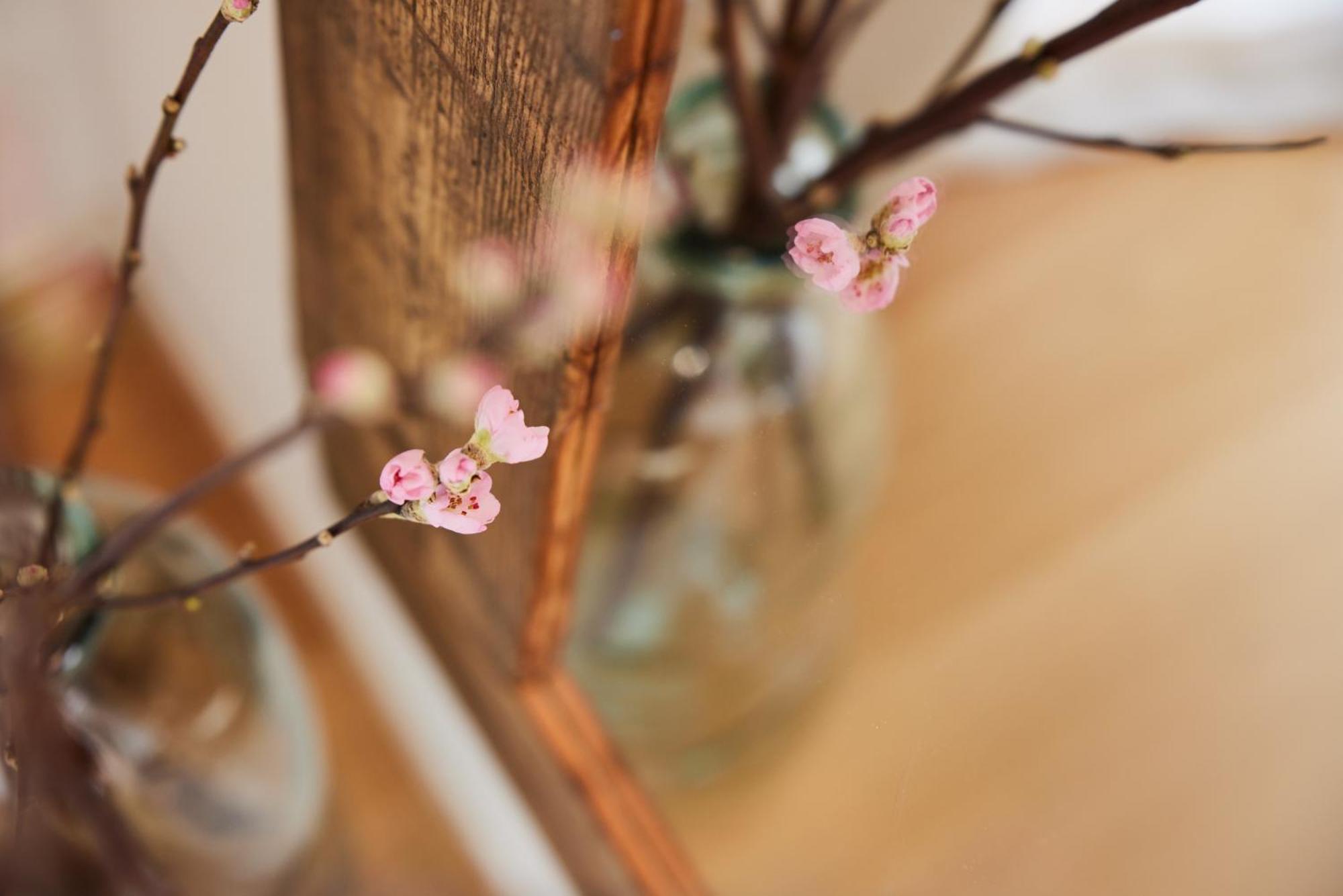 Casamartini Bed & Breakfast ฟงเต้ ภายนอก รูปภาพ